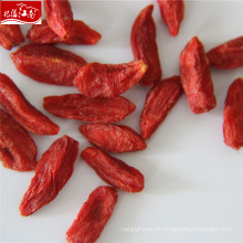 Wholesale premium bagas goji